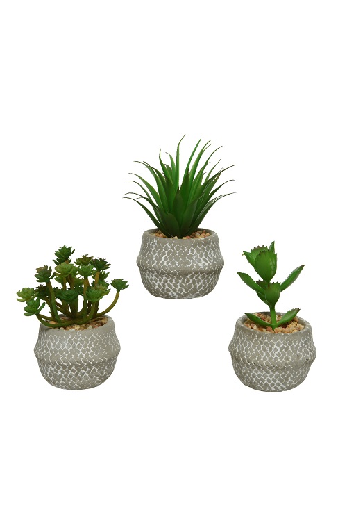 801326_Succulent_İn_Pot_Plastic_Plants_3_artificial__Kaemingk