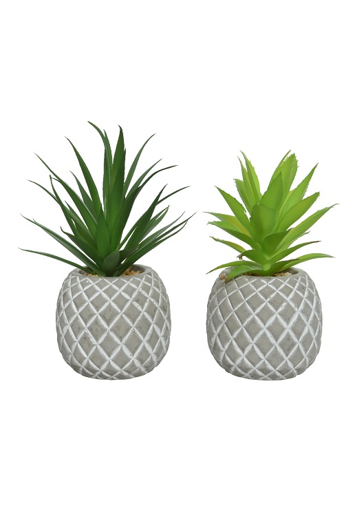 801901_Succulent_Plant_İn_Pot_Pe_Foam_2Ass_artificial__Kaemingk