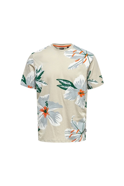 only_and_sons_onsklop_short_sleeve_floral_tee_silver_lining_2