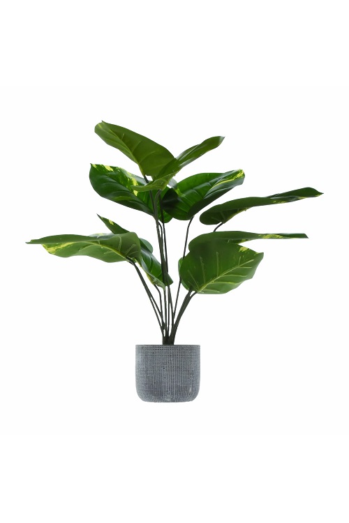 630844_Candlelight_Large_Tropical_Plant_Green_in_Round_Cement_Pot_57cm