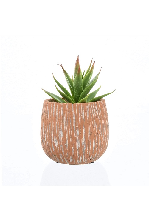 630912_Candlelight_Aloe_Vera_Succulent_in_Textured_Cement_Pot_Red_13cm
