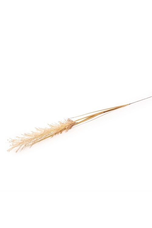 674619_Candlelight_Natural_Single_Wild_Grass_118cm
