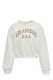 light grey melange